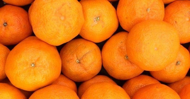 Unsplash/stiven bravo