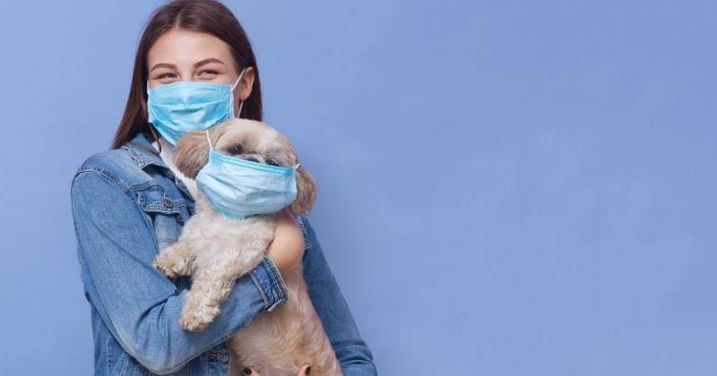 Freepik/user18526052