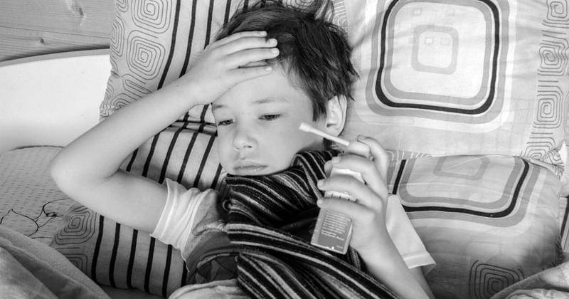 Pixabay/Victoria_Borodinova