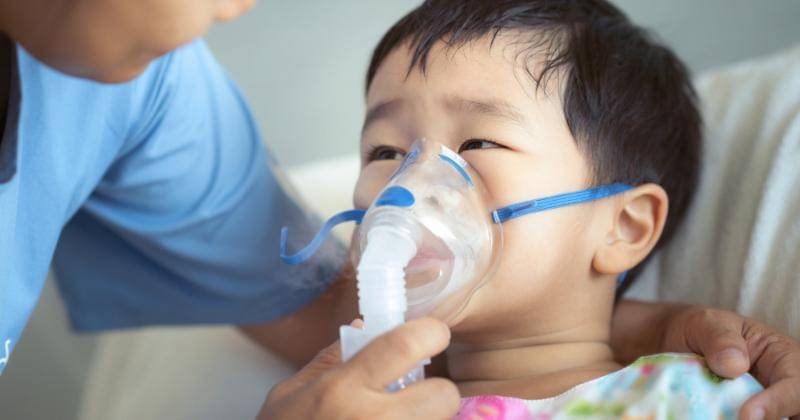 Shutterstock/anek.soowannaphoom - Shutterstock/anek.soowannaphoom