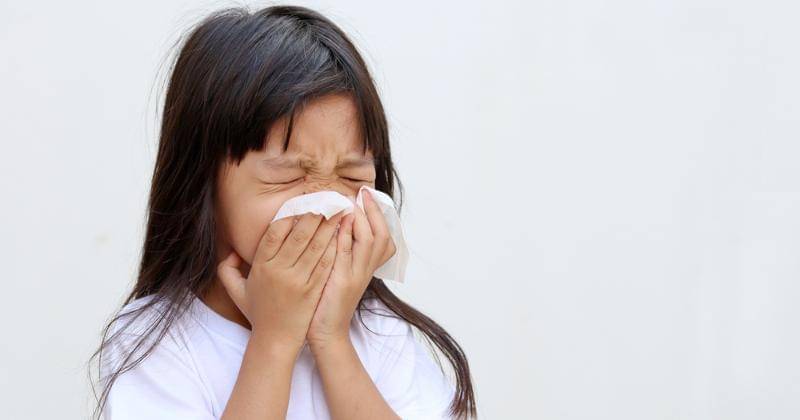 Shutterstock/Somkid Saowaros
 - Shutterstock/Somkid Saowaros