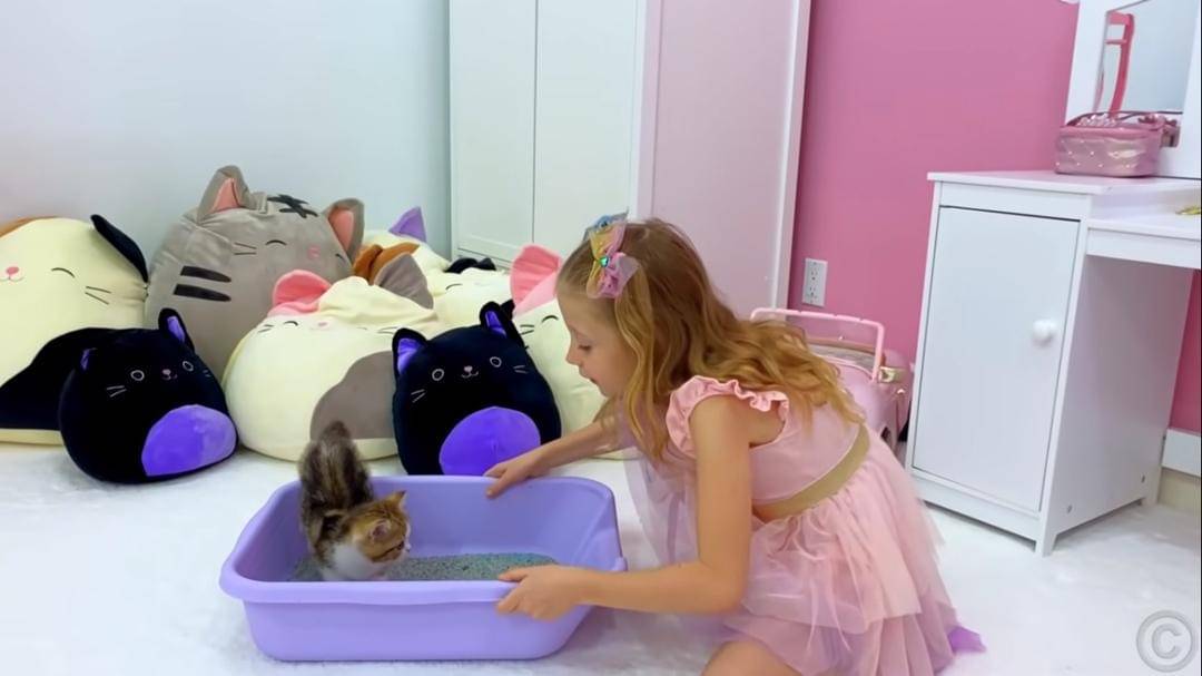 Youtube.com/Like Nastya IDN