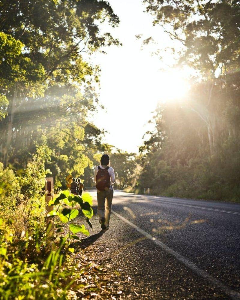 Unsplash/Fidel Fernando