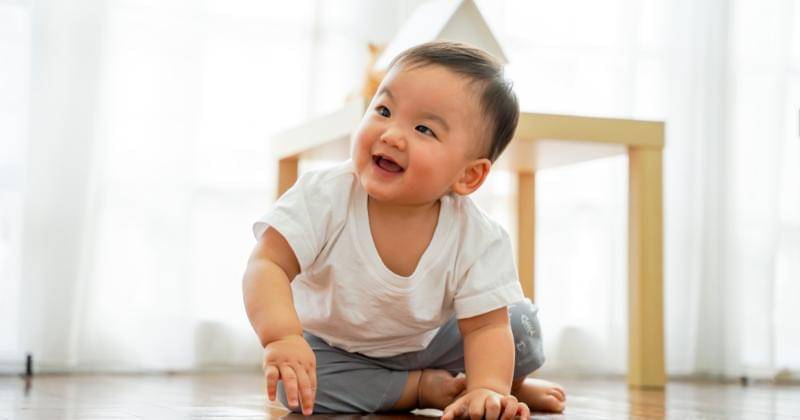 Shutterstock/Twinsterphoto