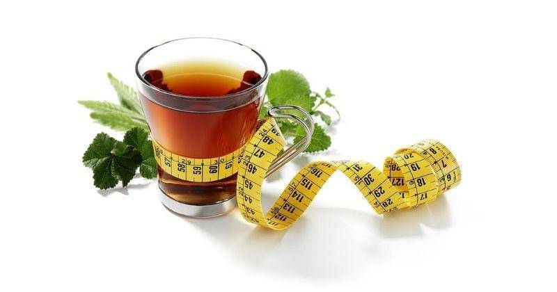 dok. jovee - Shutterstock/MIGUEL G. SAAVEDRA