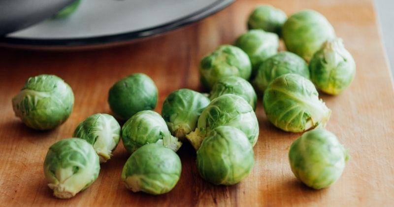 Unsplash/alinasagirova