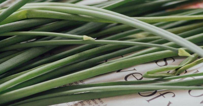 Unsplash/chuttersnap