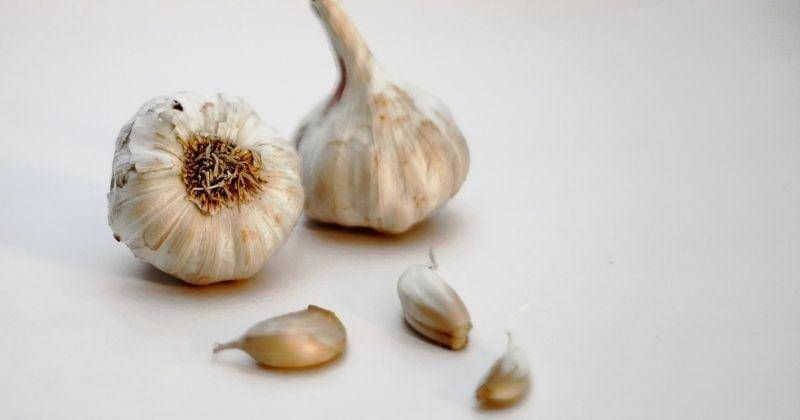 Unsplash/sanjaidosajh