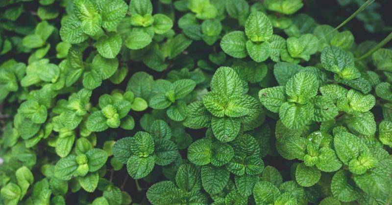 Unsplash/conscious_design