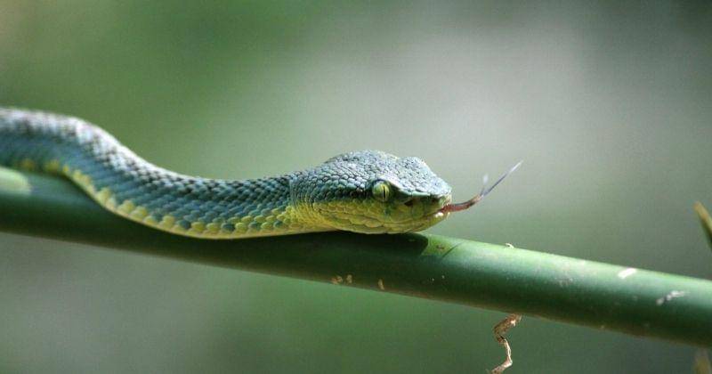 Unsplash/ravipatelravipatel