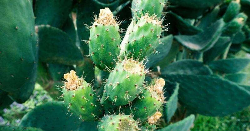 Unsplash/malte_bremer