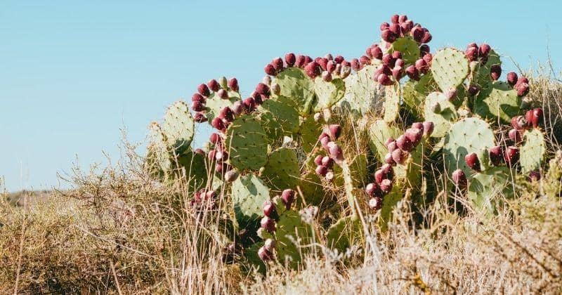 Unsplash/niklas_hamann