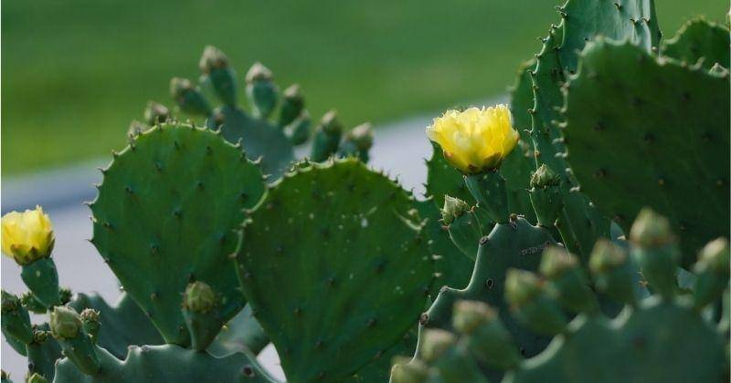 Unsplash/thecreativv