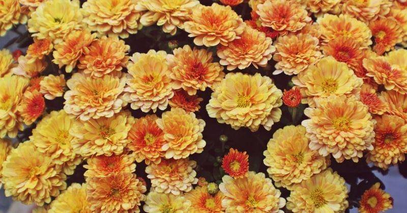 Unsplash/rebeccamatthews