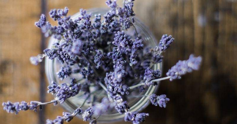 Unsplash/the_modern_life_mrs