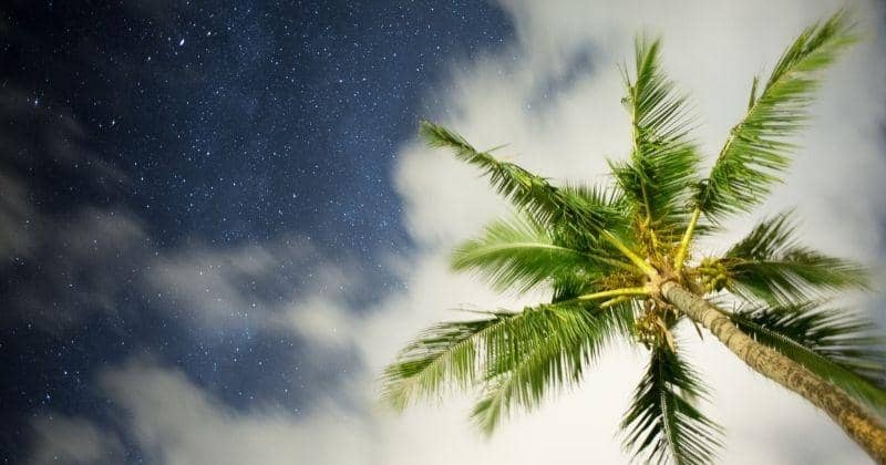 Ramalan Zodiak Minggu Ini, Aries Mulai Salah Paham dengan Pasangan