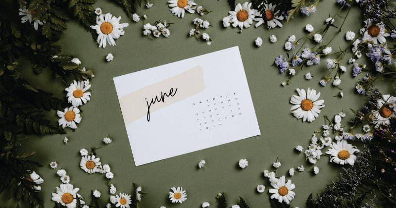 Pexels/Boris Pavlikovsky