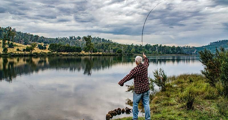 pexels/KathrynArchibald