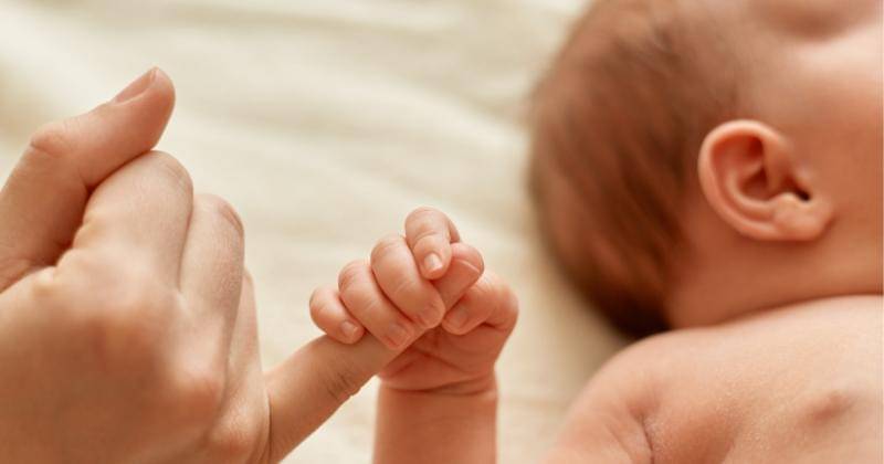 Freepik/user18526052