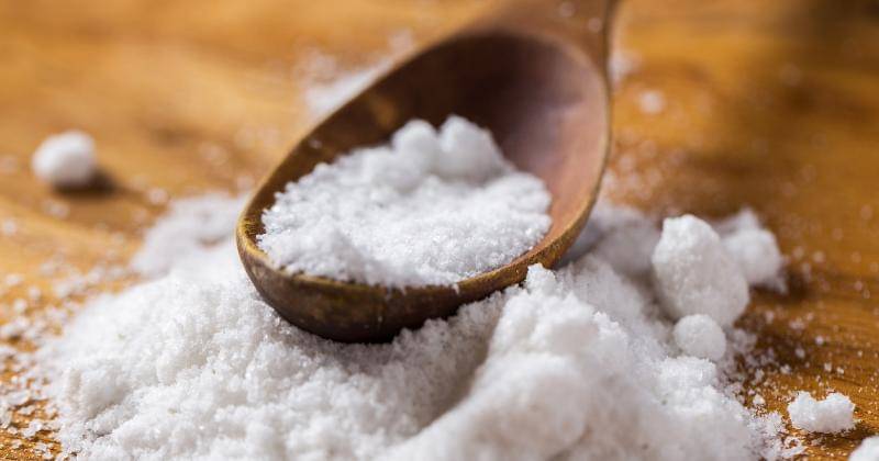 Freepik/Racool_studio