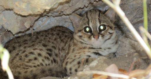 kehati.jogjaprov.go.id