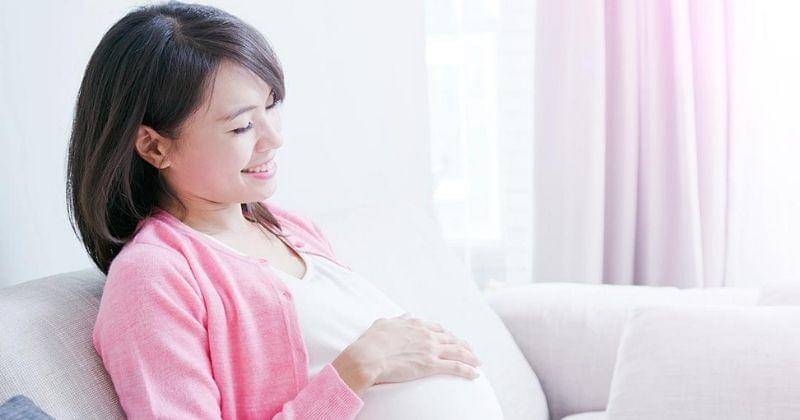 Dok. Jovee - Shutterstock/aslysun