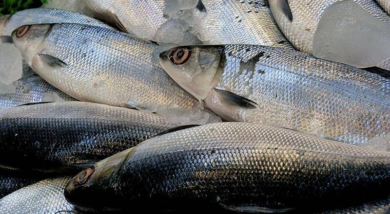 Flickr.com/volvob12b