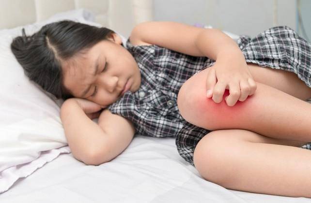 Shutterstock/kwanchai.c