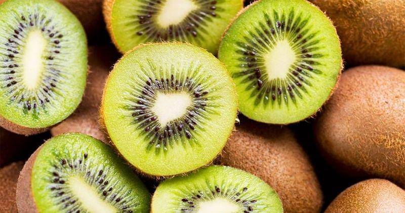 Dok. Jovee - Shutterstoc/nitr