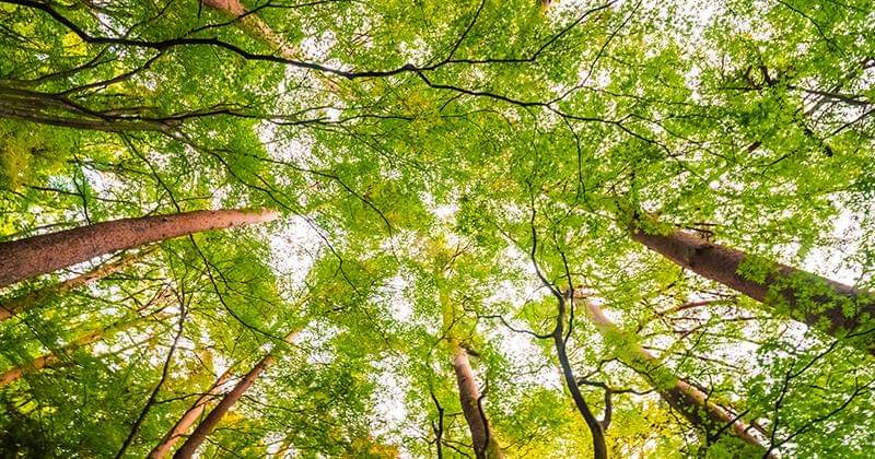 Freepik/lifeforstock