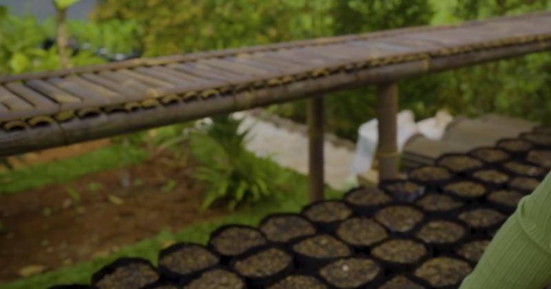 Youtube.com/Prilly Latuconsina