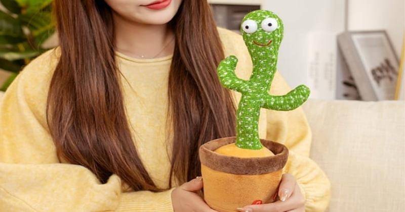 Instagram/cactus_toy