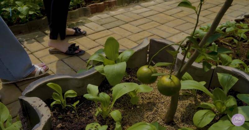 Youtube.com/Prilly Latuconsina