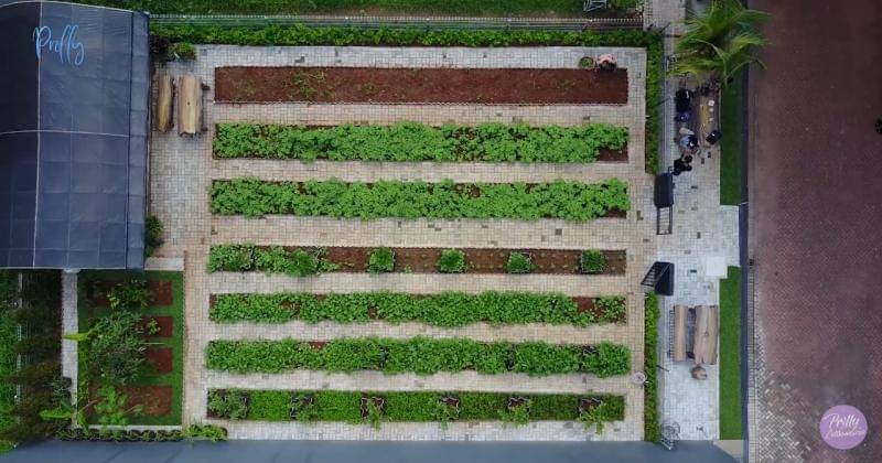 Youtube.com/Prilly Latuconsina