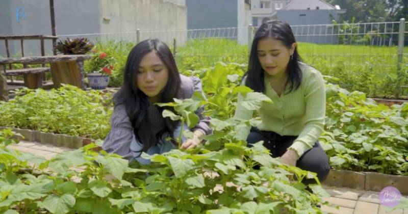 Youtube.com/Prilly Latuconsina