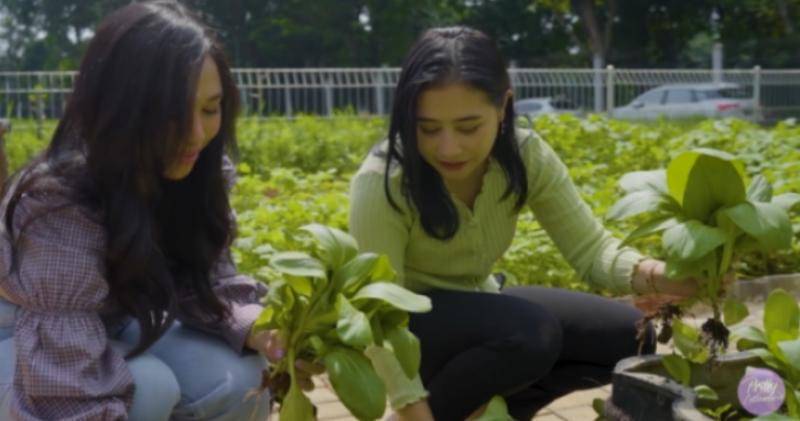 Youtube.com/Prilly Latuconsina