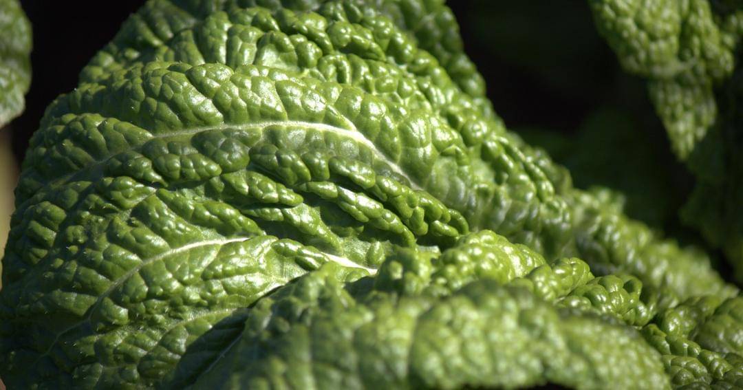 Unsplash/Andrew McQuaid