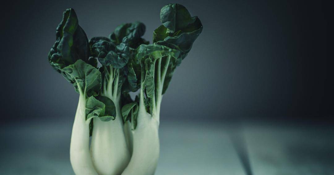 Unsplash/Jasmine Waheed