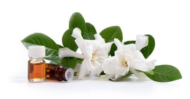 Freepik/user22978605