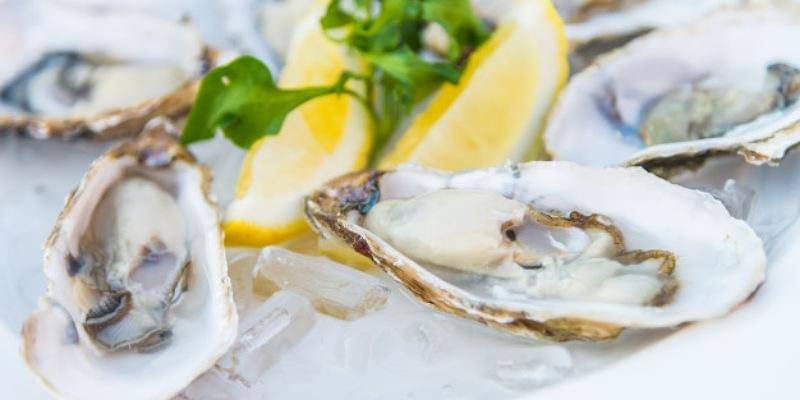 Freepik/lifeforstock