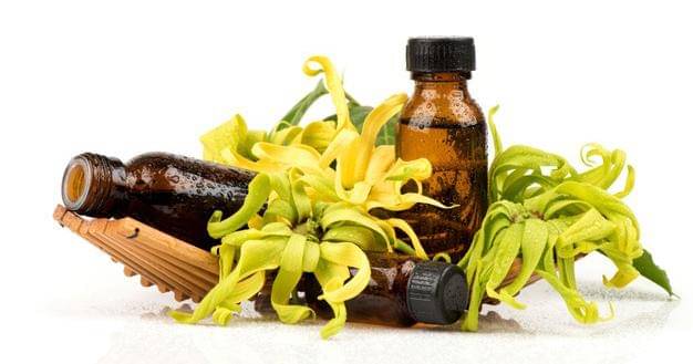 Freepik/user22978605