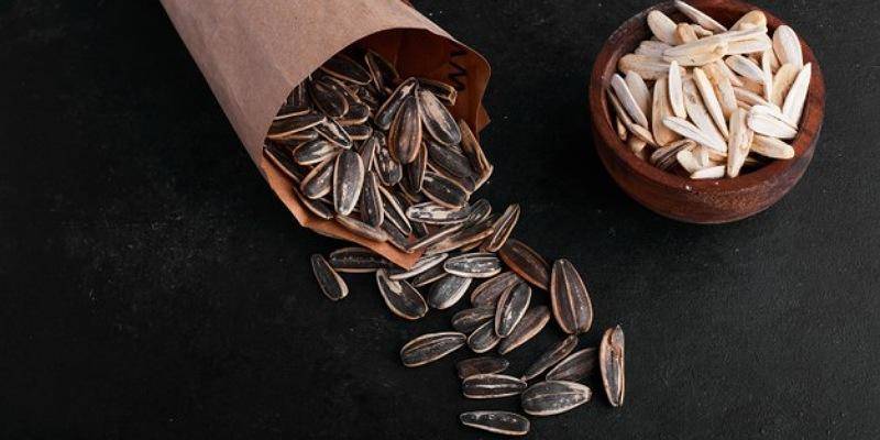 Freepik/azerbaijan_stockers