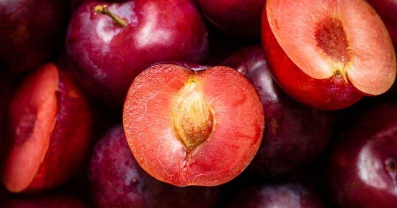 Freepik/rawpixel.com