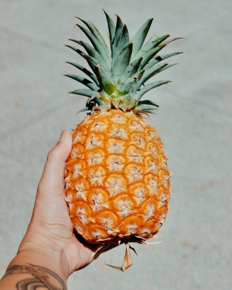 Unsplash/Bambi Corro