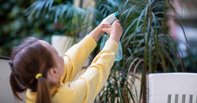 Freepik/Alena Stalmashonak