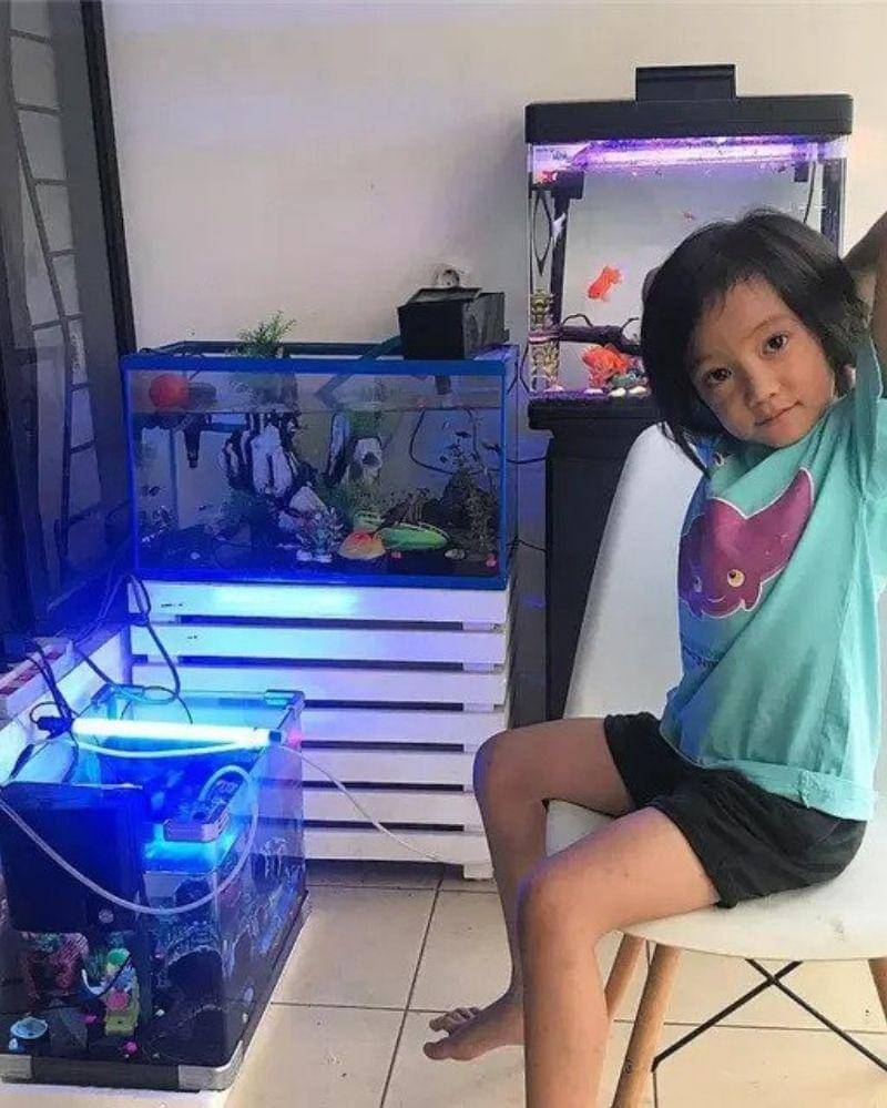 Instagram.com/sagaomarnagata