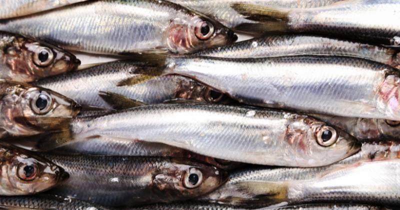 Freepik/racool_studio