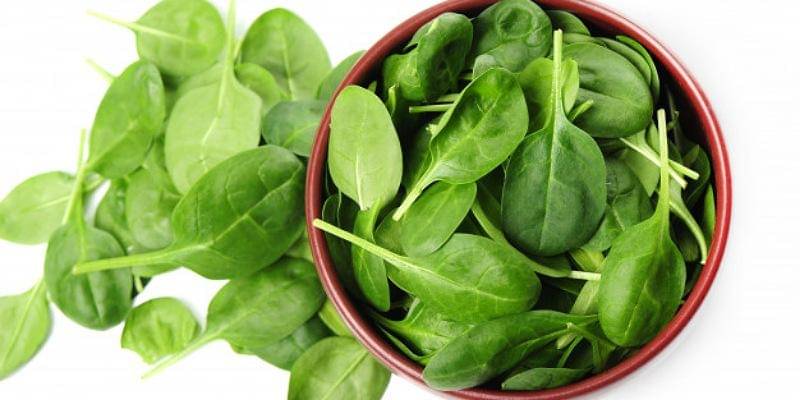 Freepik/Racool_studio