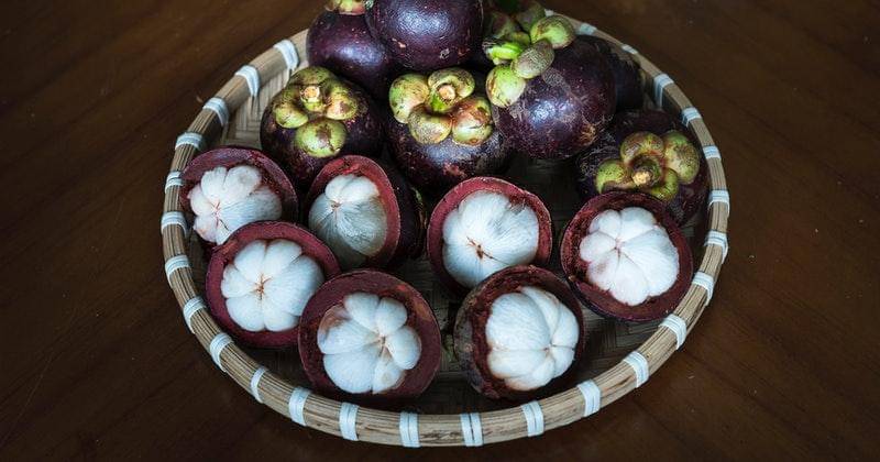 Pexels/Quang Nguyen Vinh