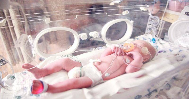 Unsplash/Sharon McCutcheon